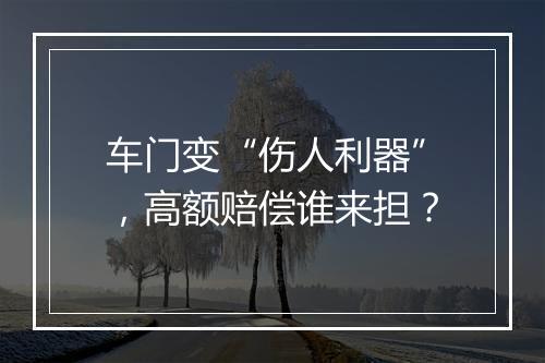车门变“伤人利器”，高额赔偿谁来担？