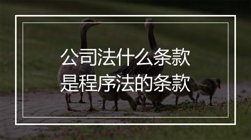 公司法什么条款是程序法的条款