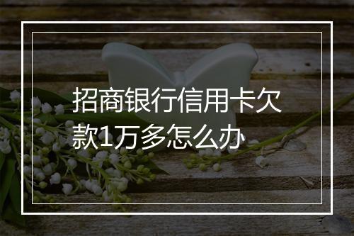 招商银行信用卡欠款1万多怎么办