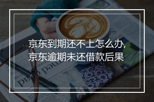 京东到期还不上怎么办,京东逾期未还借款后果