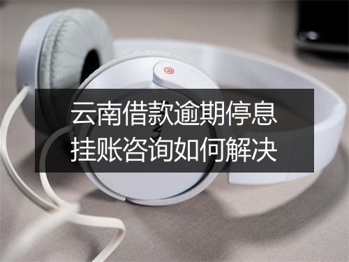 云南借款逾期停息挂账咨询如何解决