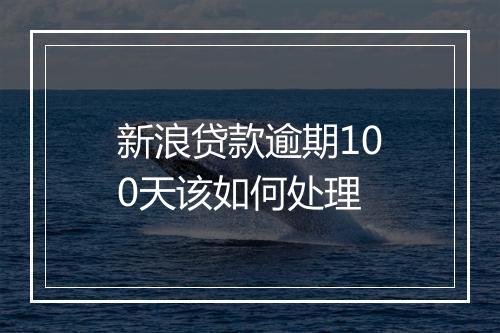 新浪贷款逾期100天该如何处理
