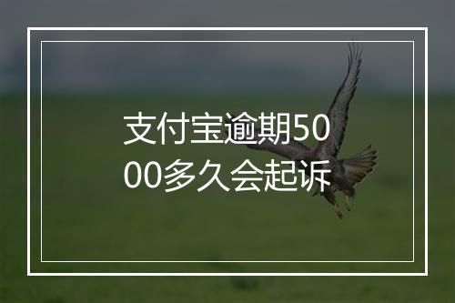 支付宝逾期5000多久会起诉