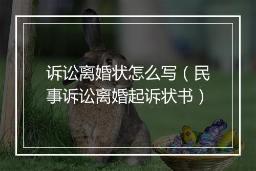 诉讼离婚状怎么写（民事诉讼离婚起诉状书）