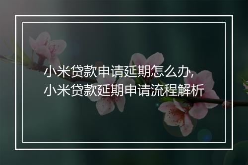 小米贷款申请延期怎么办,小米贷款延期申请流程解析