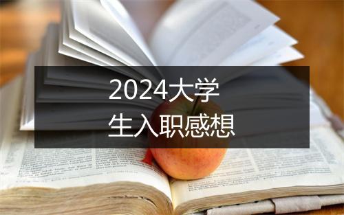 2024大学生入职感想