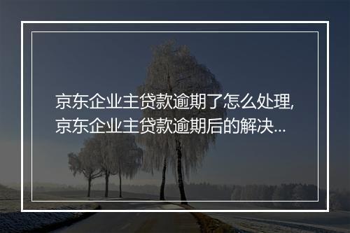 京东企业主贷款逾期了怎么处理,京东企业主贷款逾期后的解决方法