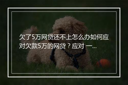 欠了5万网贷还不上怎么办如何应对欠款5万的网贷？应对 一览