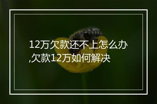 12万欠款还不上怎么办,欠款12万如何解决