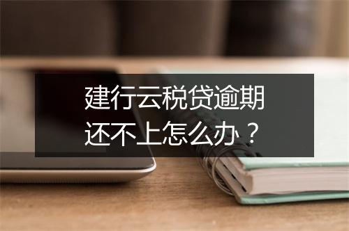 建行云税贷逾期还不上怎么办？