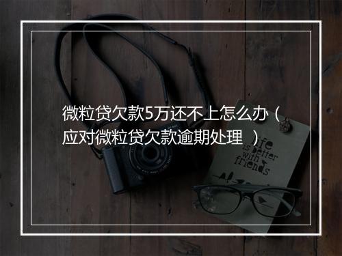 微粒贷欠款5万还不上怎么办（应对微粒贷欠款逾期处理 ）
