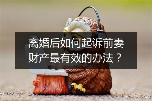 离婚后如何起诉前妻财产最有效的办法？