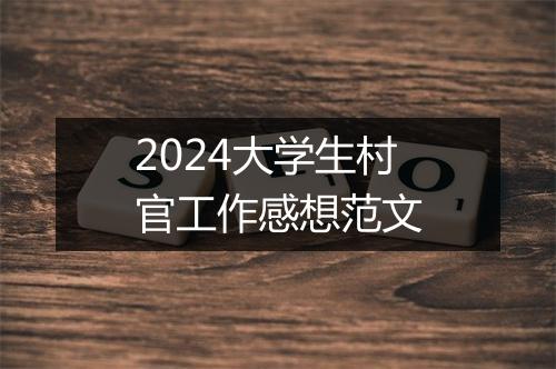 2024大学生村官工作感想范文