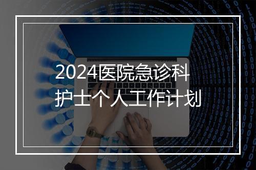 2024医院急诊科护士个人工作计划