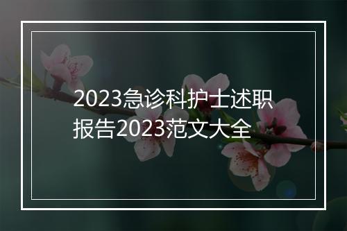 2023急诊科护士述职报告2023范文大全