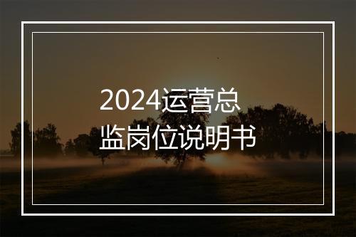2024运营总监岗位说明书