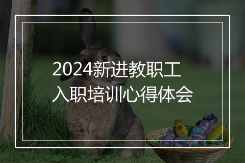 2024新进教职工入职培训心得体会