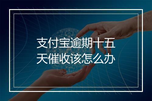 支付宝逾期十五天催收该怎么办