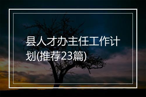 县人才办主任工作计划(推荐23篇)