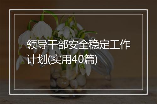 领导干部安全稳定工作计划(实用40篇)