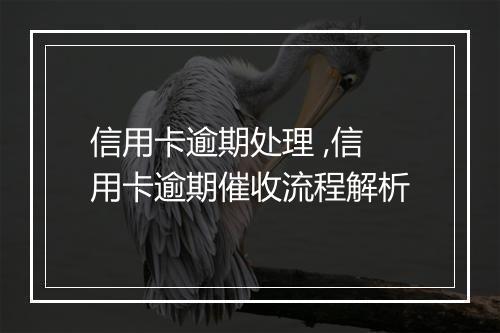 信用卡逾期处理 ,信用卡逾期催收流程解析