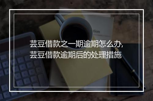 芸豆借款之一期逾期怎么办,芸豆借款逾期后的处理措施