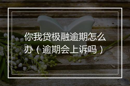 你我贷极融逾期怎么办（逾期会上诉吗）