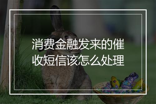 消费金融发来的催收短信该怎么处理