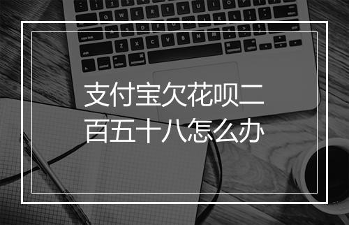 支付宝欠花呗二百五十八怎么办