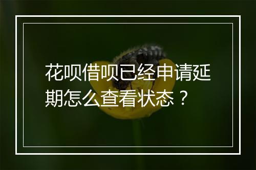花呗借呗已经申请延期怎么查看状态？