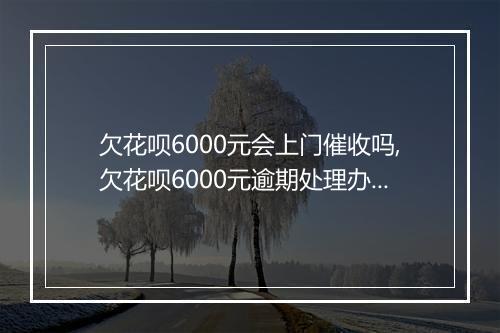 欠花呗6000元会上门催收吗,欠花呗6000元逾期处理办法