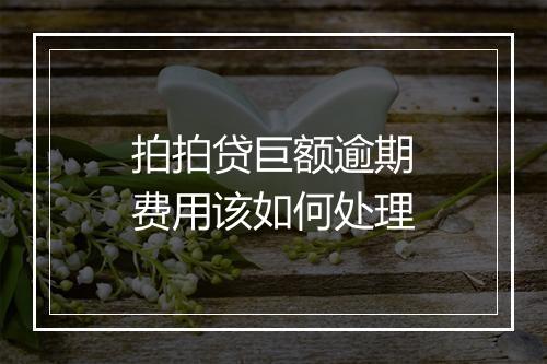 拍拍贷巨额逾期费用该如何处理