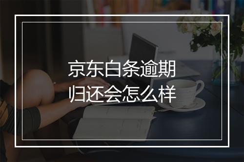 京东白条逾期归还会怎么样