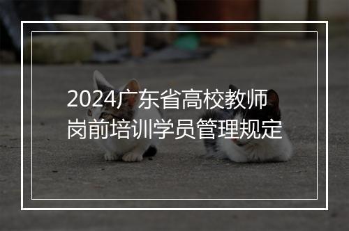2024广东省高校教师岗前培训学员管理规定