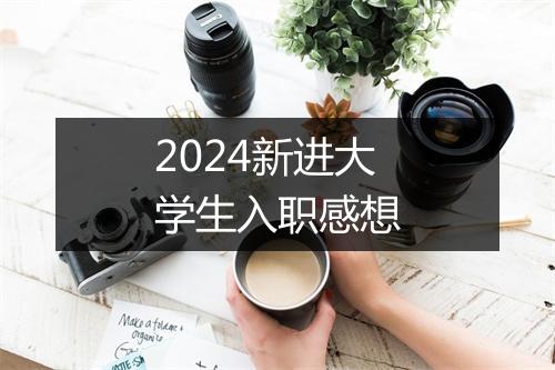 2024新进大学生入职感想