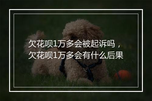 欠花呗1万多会被起诉吗，欠花呗1万多会有什么后果