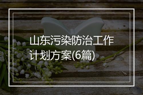 山东污染防治工作计划方案(6篇)