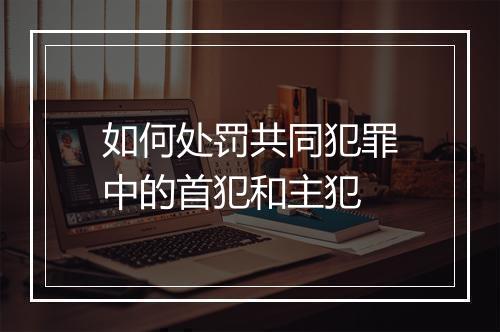 如何处罚共同犯罪中的首犯和主犯