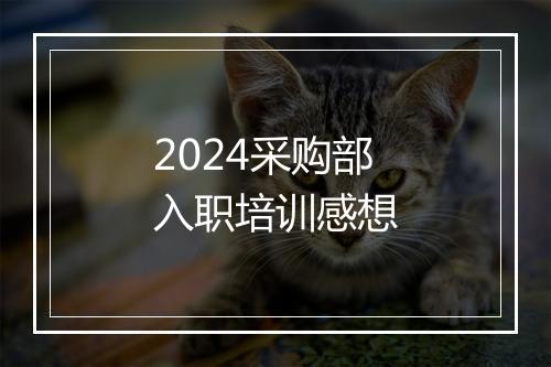 2024采购部入职培训感想