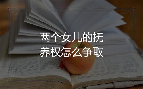 两个女儿的抚养权怎么争取