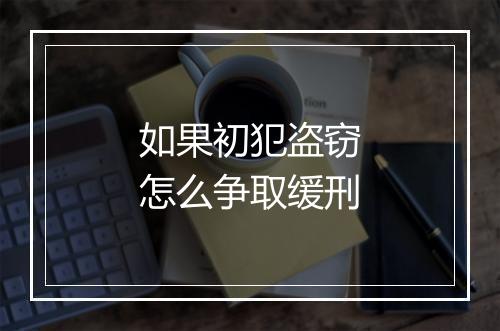 如果初犯盗窃怎么争取缓刑