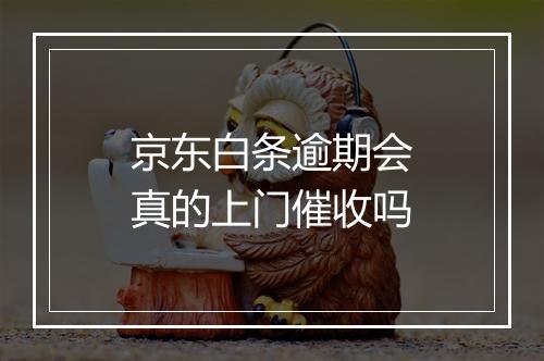 京东白条逾期会真的上门催收吗