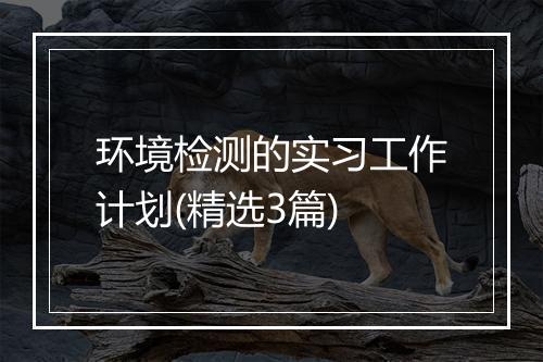 环境检测的实习工作计划(精选3篇)