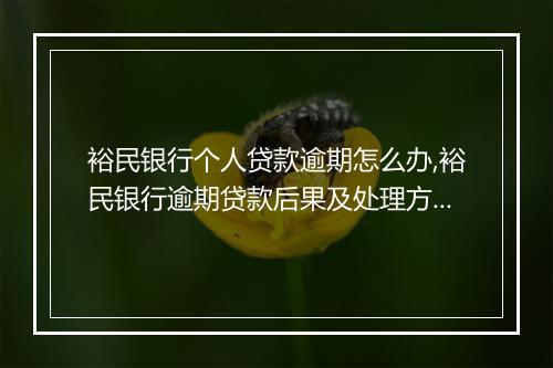 裕民银行个人贷款逾期怎么办,裕民银行逾期贷款后果及处理方法