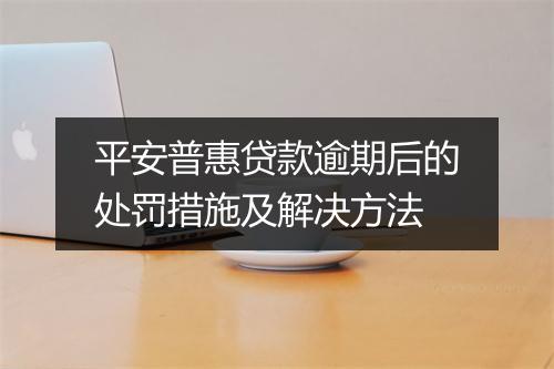 平安普惠贷款逾期后的处罚措施及解决方法