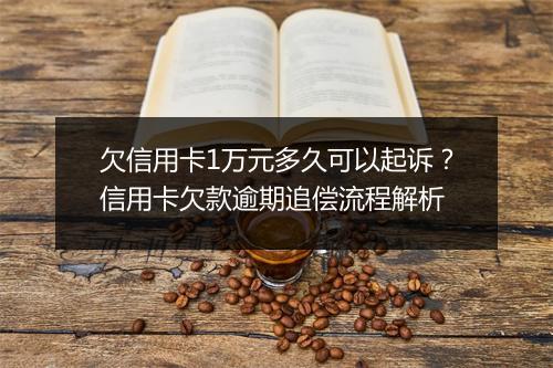 欠信用卡1万元多久可以起诉？信用卡欠款逾期追偿流程解析