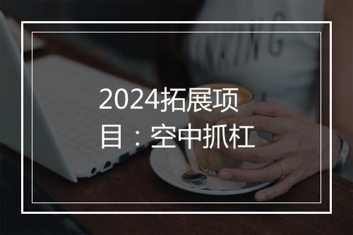 2024拓展项目：空中抓杠