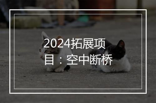 2024拓展项目：空中断桥