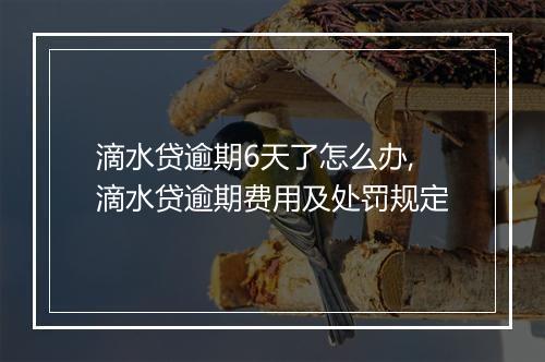 滴水贷逾期6天了怎么办,滴水贷逾期费用及处罚规定