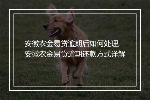 安徽农金易贷逾期后如何处理,安徽农金易贷逾期还款方式详解